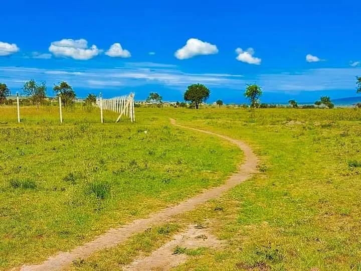 1/2 Acre for Sale in Machakos – Near Konza Tech City | Only Ksh 1.3M (Negotiable)